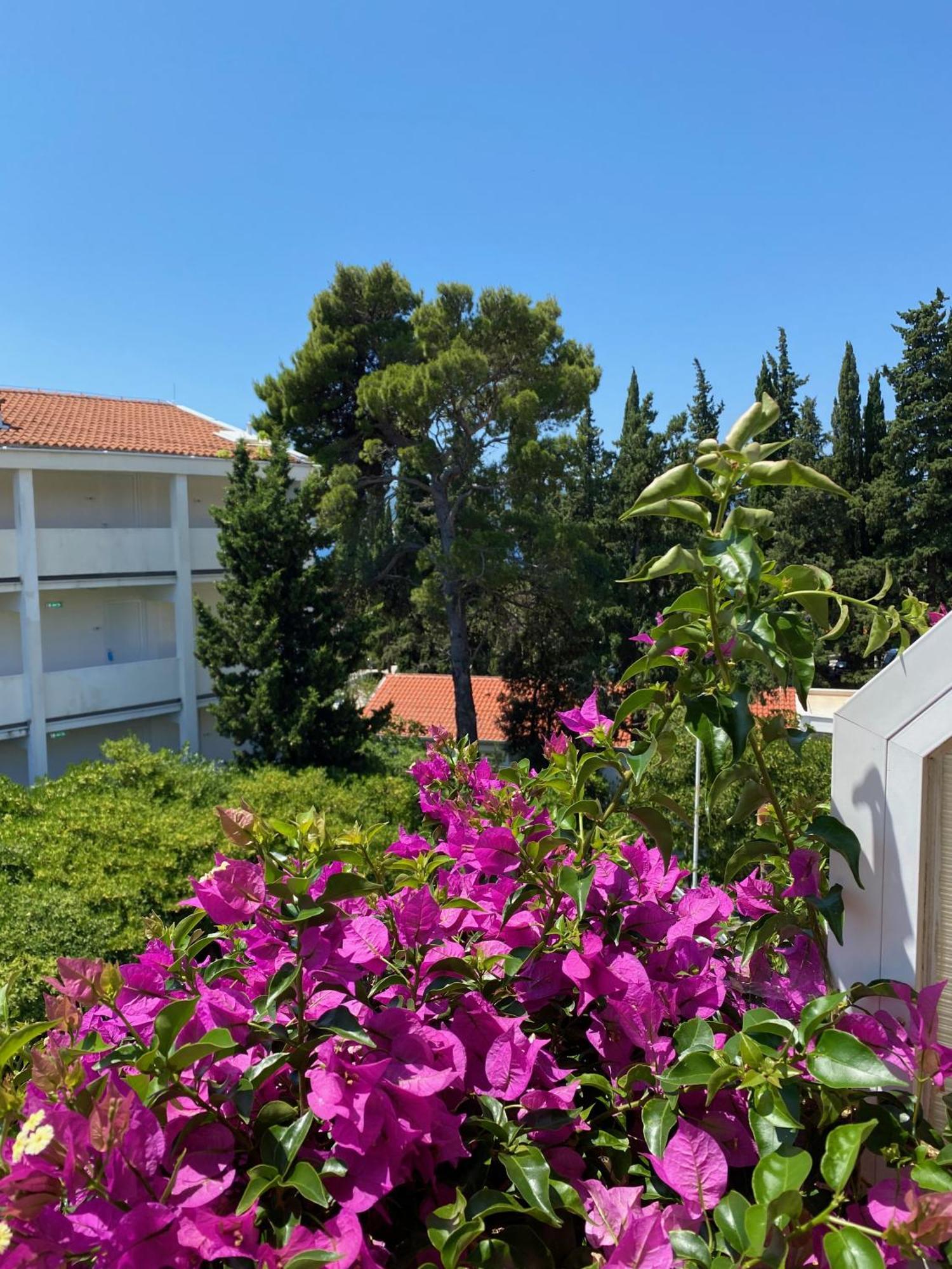 Apartmani Dusanka 오레비츠 외부 사진