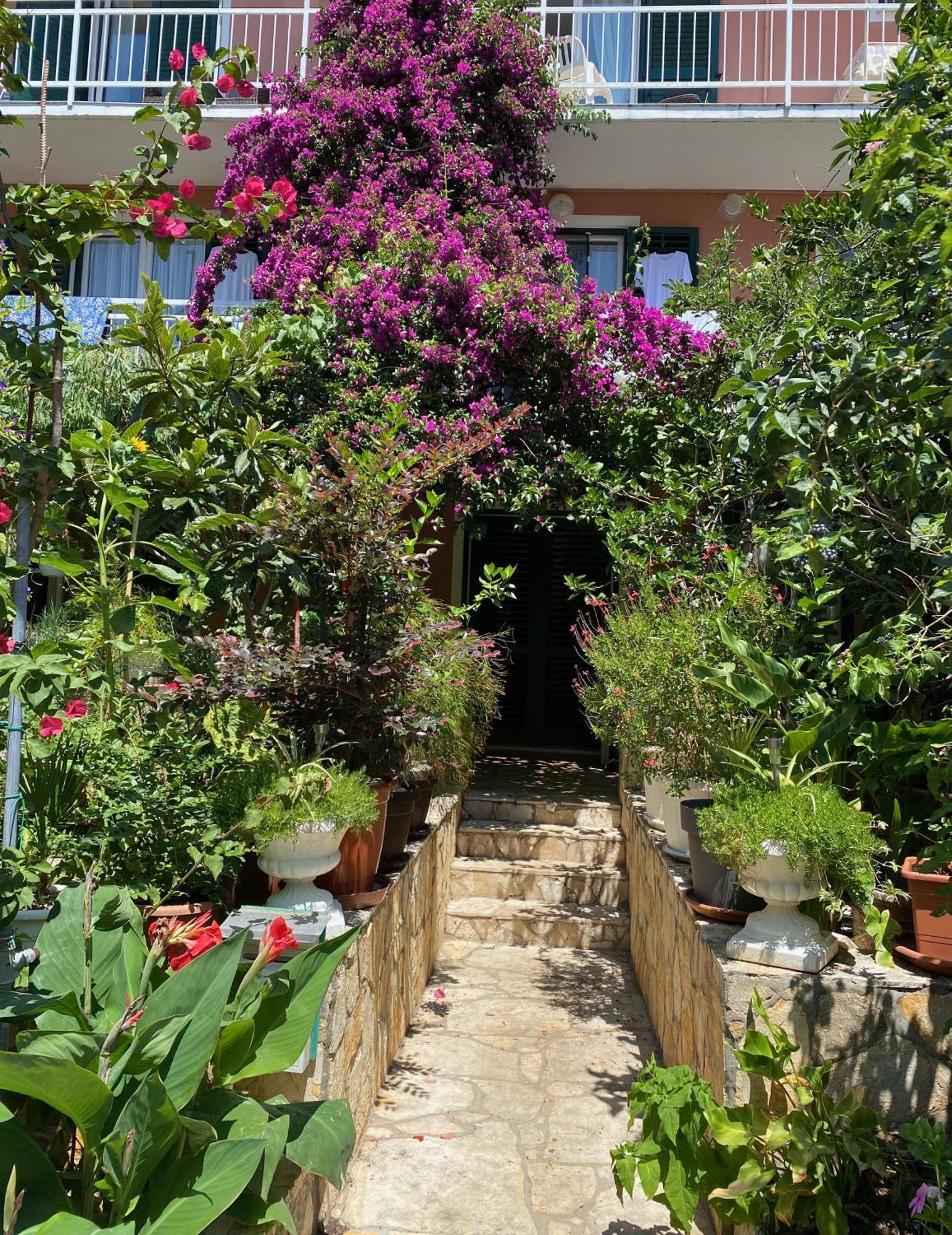 Apartmani Dusanka 오레비츠 외부 사진